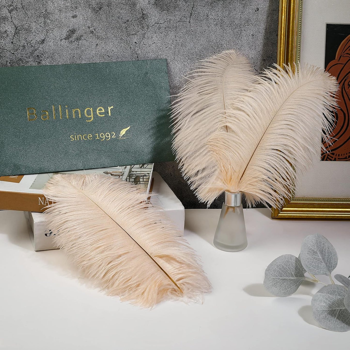 Ballinger Light Salmon Ostrich Feathers - 24pcs 12-14inch Big Feathers for Crafts,Wedding Party Centerpieces and Home Decor