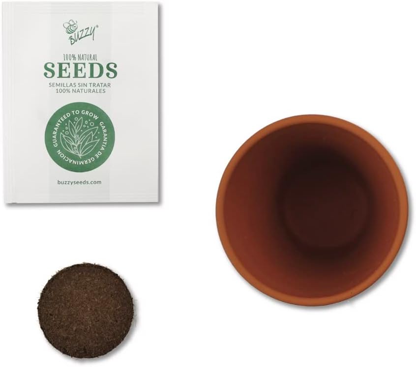 BUZZY Seeds Mini Terracotta Pots 12-Pack with Plant Seeds, Poppy, Sunflower, Daisy, Cactus and Forget Me Not, All-in-One Seed Starter Kit, Indoor Outdoor Gardening Gift, Wedding Favors