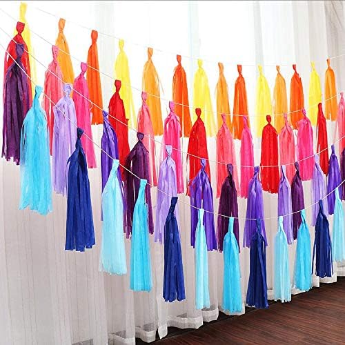 Pink Party Decorations,Hot Pink Light Pink and Pink Paper Tissue Tassel Garland Banner,15 Pcs