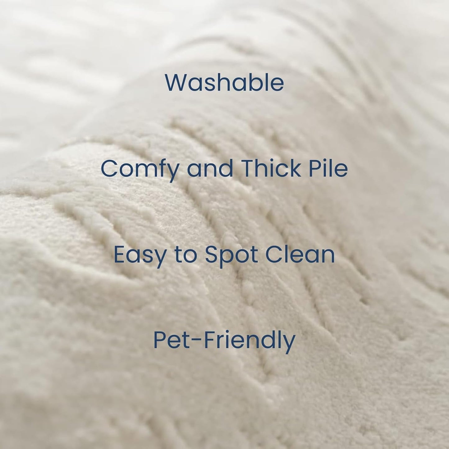 Revival Rugs Shell 6'7"x9' Washable Area Rug for Living Room Bedroom - 100% Recycled Oeko-TEX Certified, Medium Pile, Beige, Cream