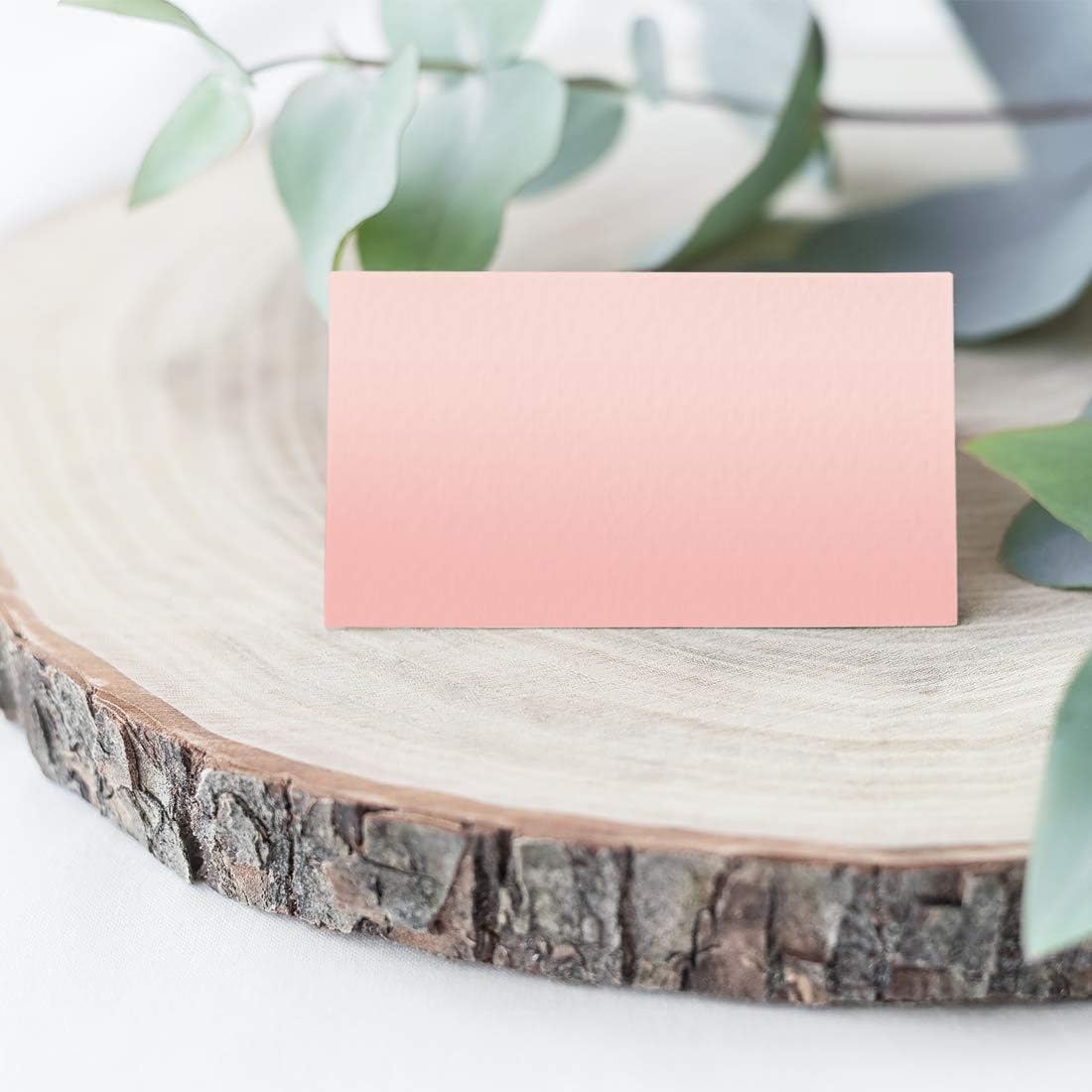 Andaz Press Blush Pink Rose Elegant Party Collection, Blank Place Cards, 20-Pack, Placecards Food Dessert Table Tent Favors Decor