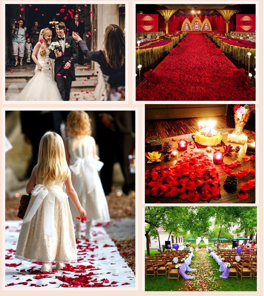 ocharzy 1000pcs Rose Petals Artificial Silk Flower Rose Petals for Wedding Decorations, Romantic Night, Valentine's Day, Parties, Events