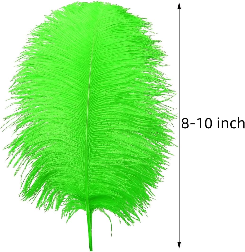 Ballinger Lime Green Ostrich Feathers - 24Pcs 8-10inch Large Green Feathers for Crafts,Wedding Party Centerpieces and Holiday Home Decor