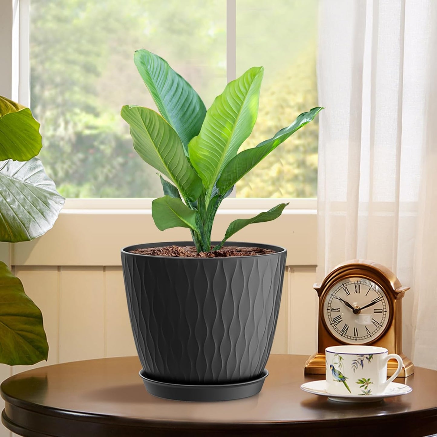 6 inch Plant Pots, 5 Pack Flower Pots with Drainage Holes and Saucers for Indoor Plants, Plastic Planters with Water Ripple for Small Garden House Plants, Nursery Pots for Succulent, Black