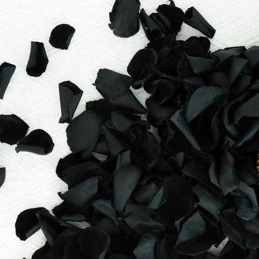 200Pcs Dried Real Black Rose Petals, Preserved Flower Petals 1.75oz for Gifts Wedding Party Decor, Flower Girl, Dinner Table Centerpieces, Bridal Shower, Witch Decor,Confetti