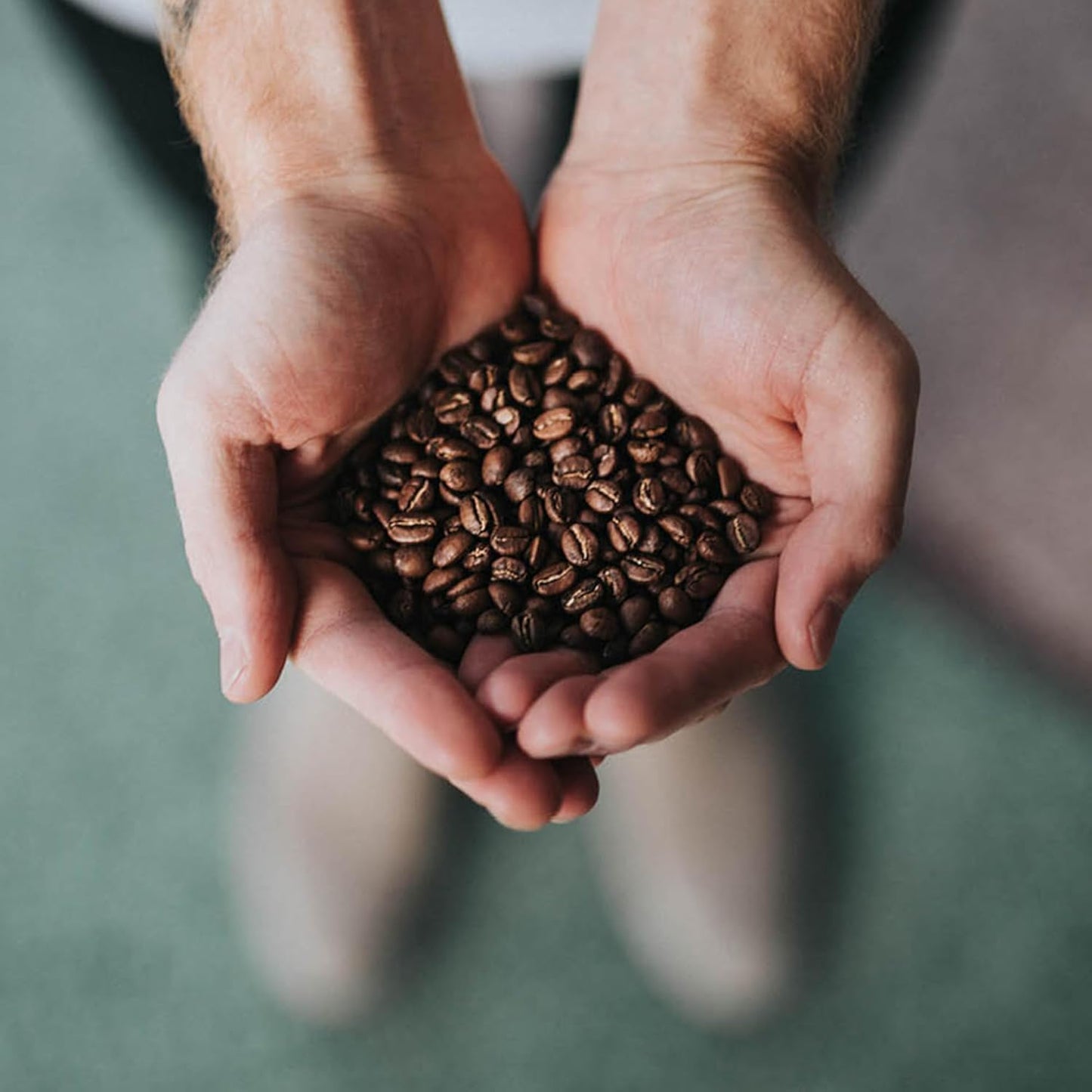 Coffee Bean Direct City Roast Papua New Guinea, Whole Bean Coffee, Arabica Coffee, Medium Roast, 5 Pound Bag (Pack of 1)
