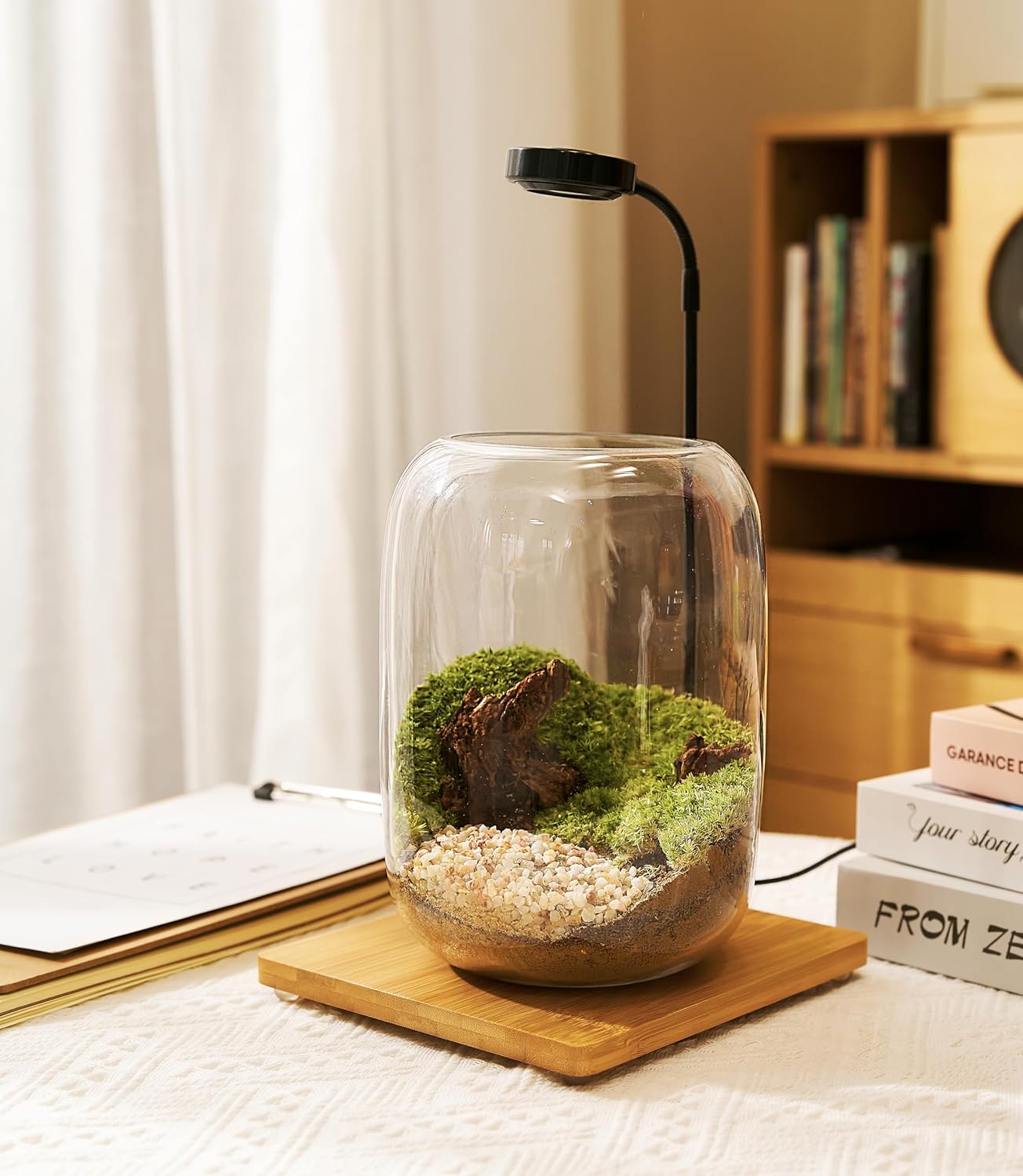 Terrarium Kit with Grow Light, Succulent Plants, Mini Gardening Set - Includes Jar, Tools, Moss, Rocks, Driftwood & Decor