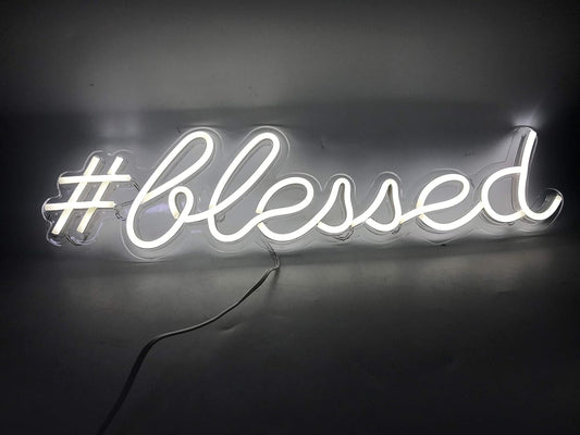 Ulalaza LED Neon Sign Night Light for Wall Party Décor Bedroom Room Bar Wedding Home Birthday Art Decoration Christmas with USB Chain Light modulator 5v (lets party blue)